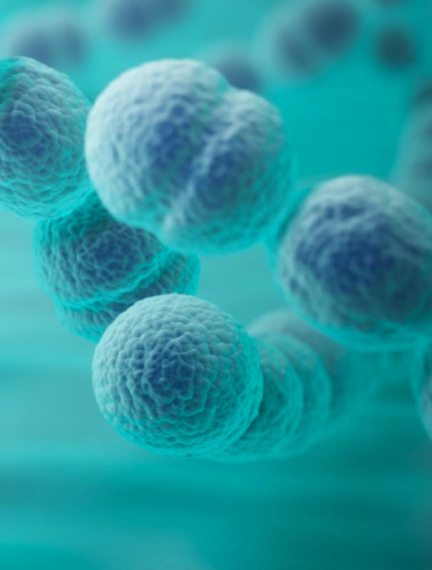 Vial of M-M-R vaccine with syringe