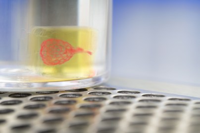 Forward-looking statement related links