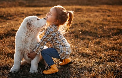 little girl hugging a white dog