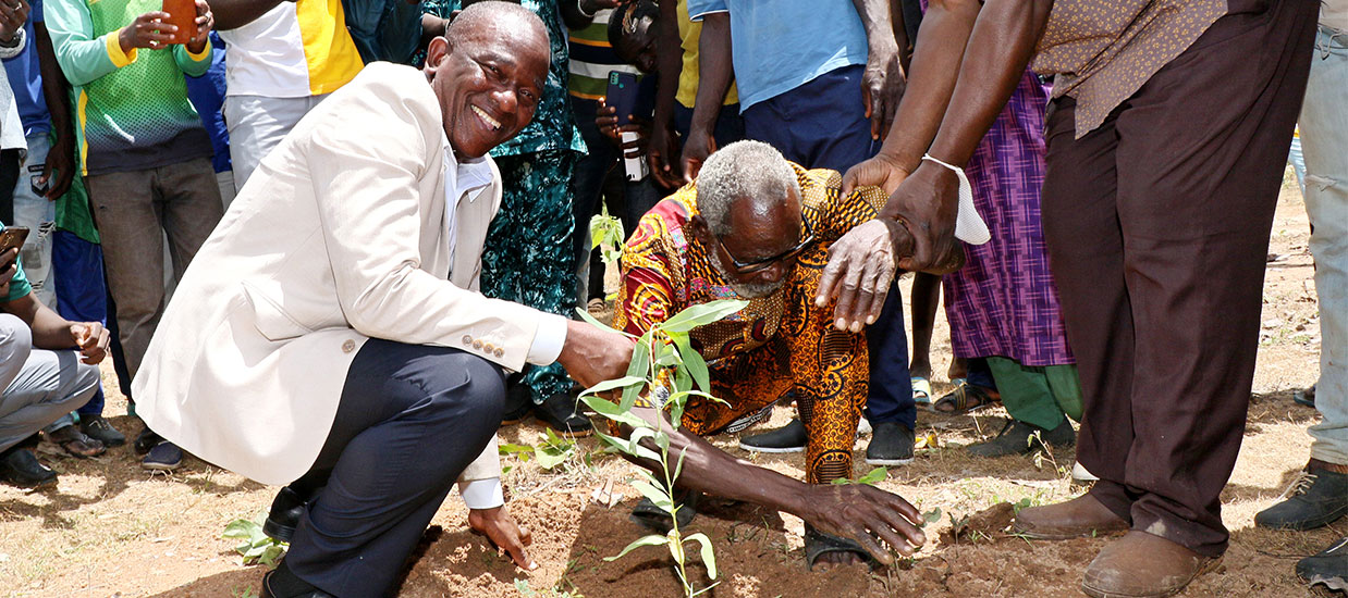 men planting a tree in the field