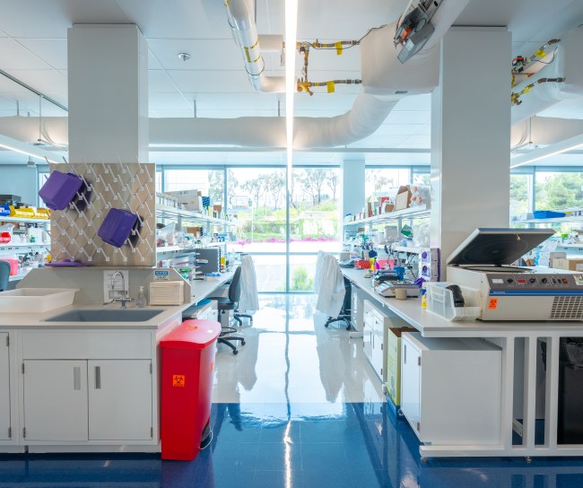 photo of a lab with two rows of work benches containing scientific equipment