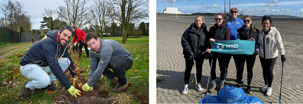 tree planting and beach cleanup
