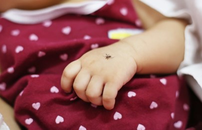 A mosquito sitting on a baby's hand
