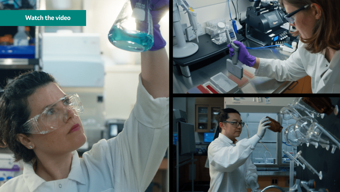collage of photos of scientists working in labs