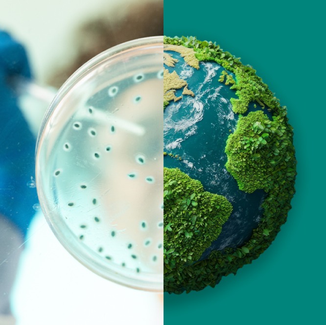 Image showing microbes in a lab dish on the left and earth on the right