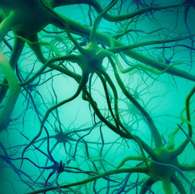 illustration of neurons