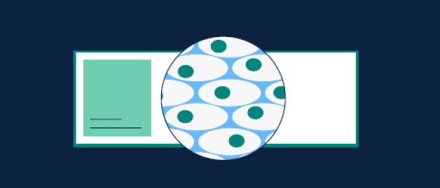 illustration of magnifying glasses overlapping.